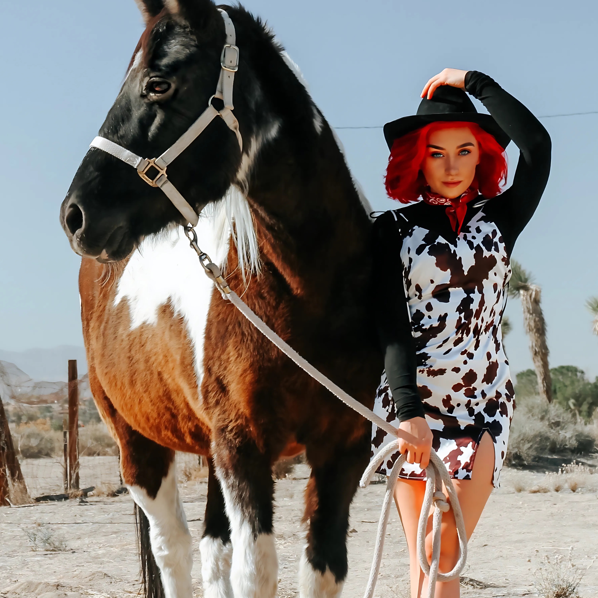 old western photos and videos