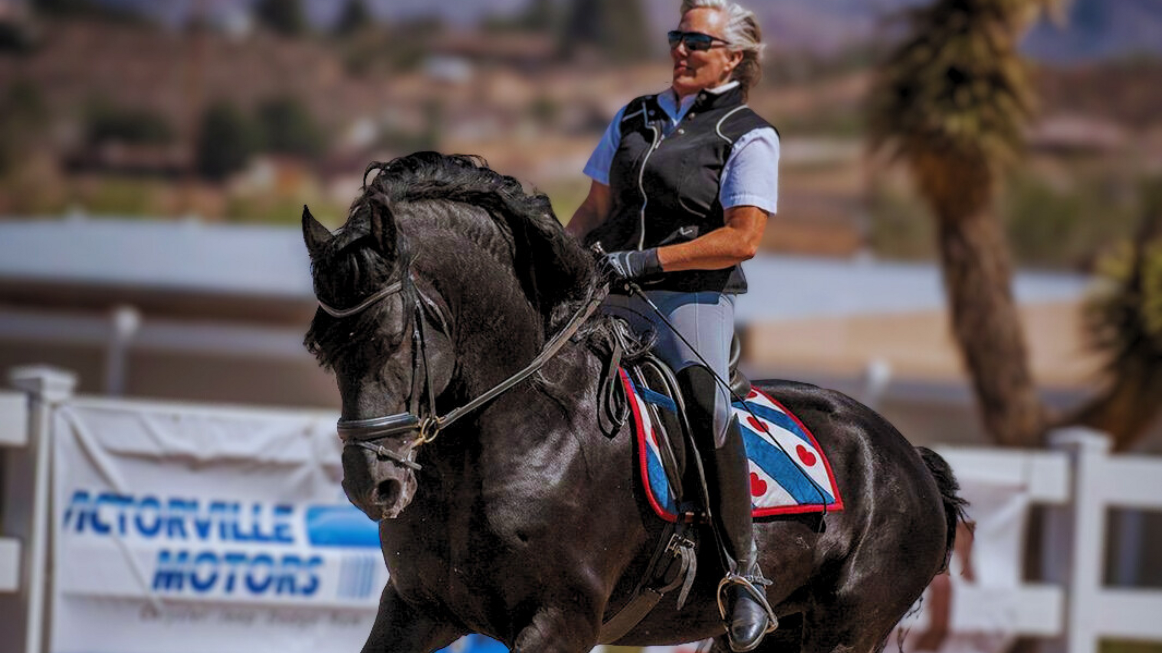 apple-valley-horse-boarding.jpg