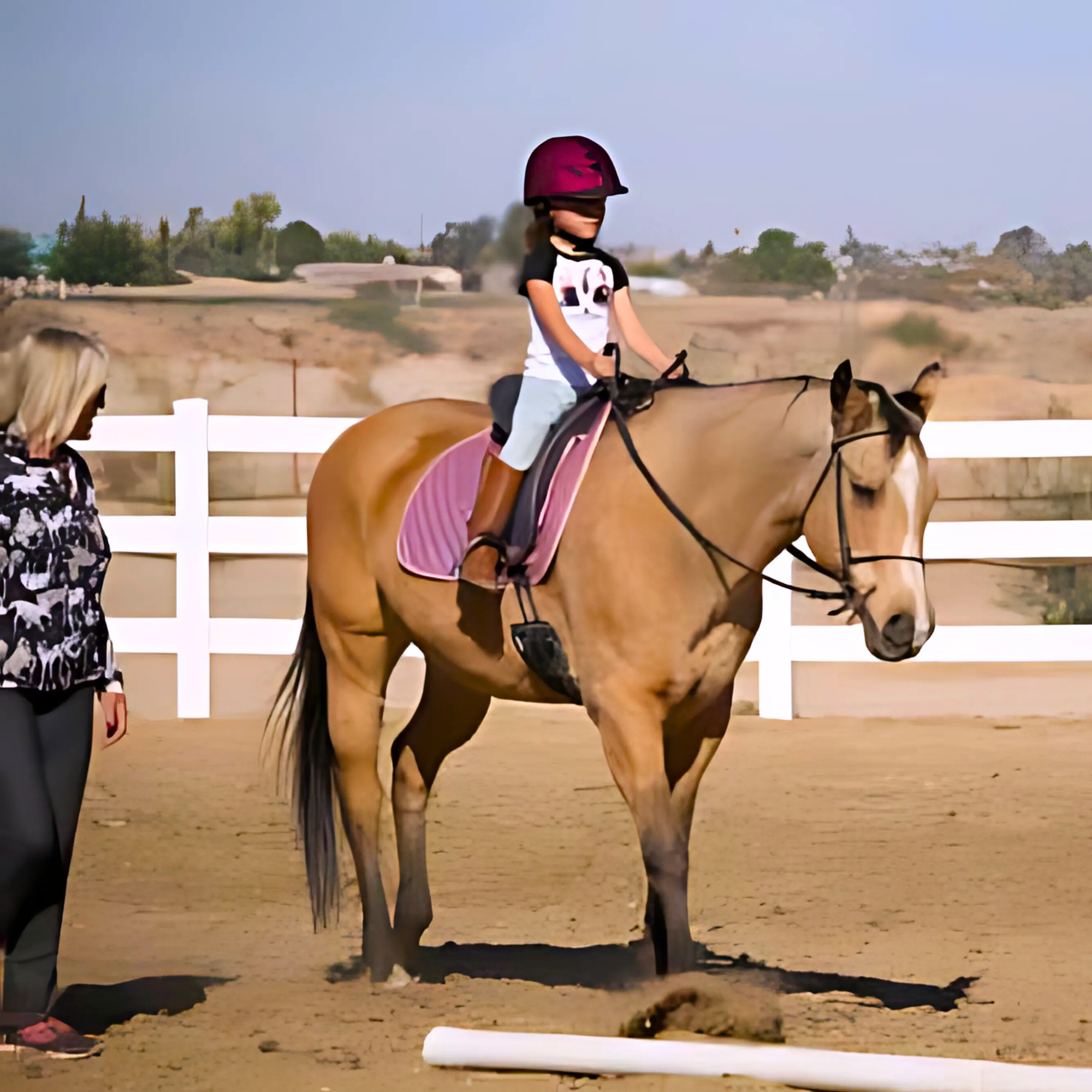 apple-valley-horse-motel-overnight.jpg