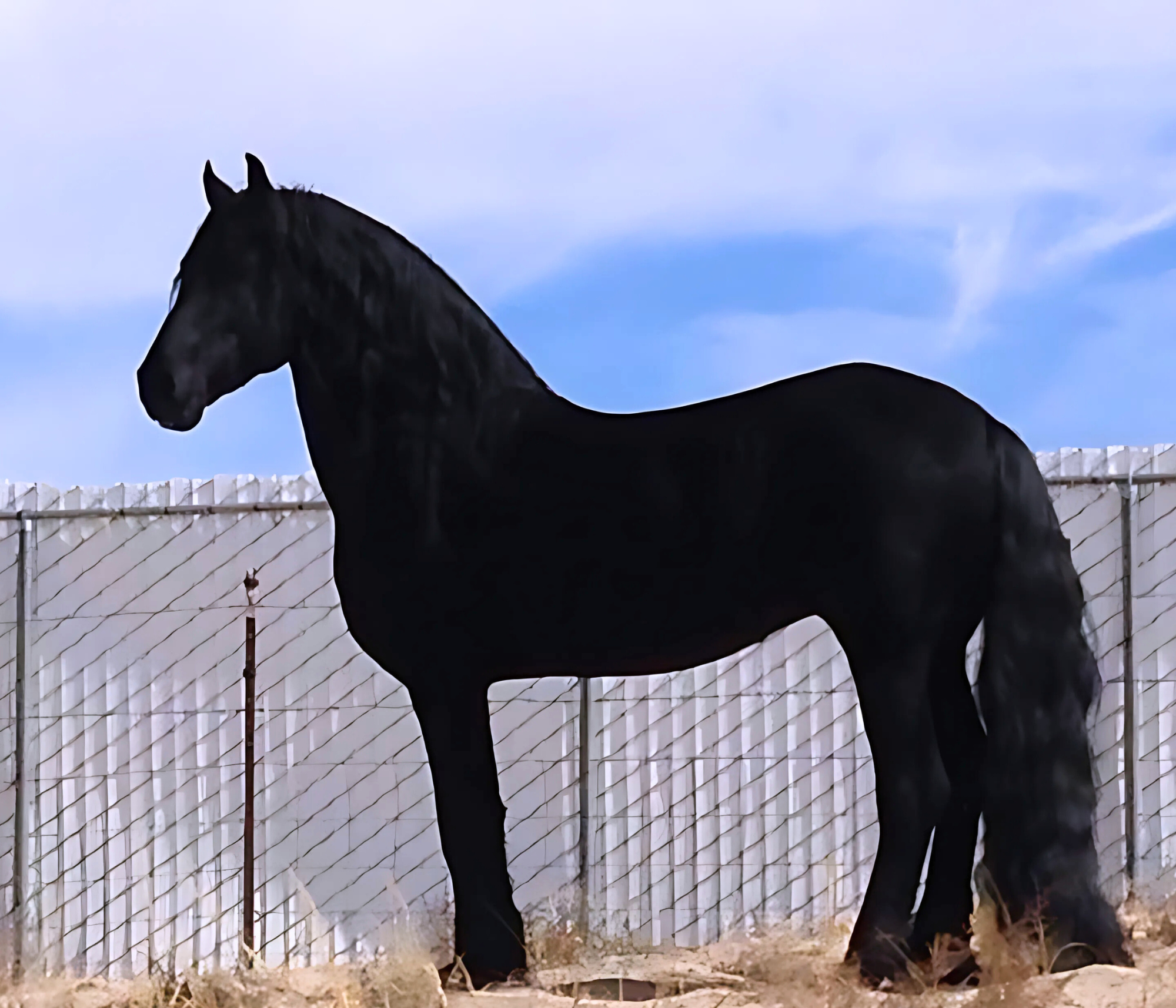 apple-valley-riding-arena.jpg