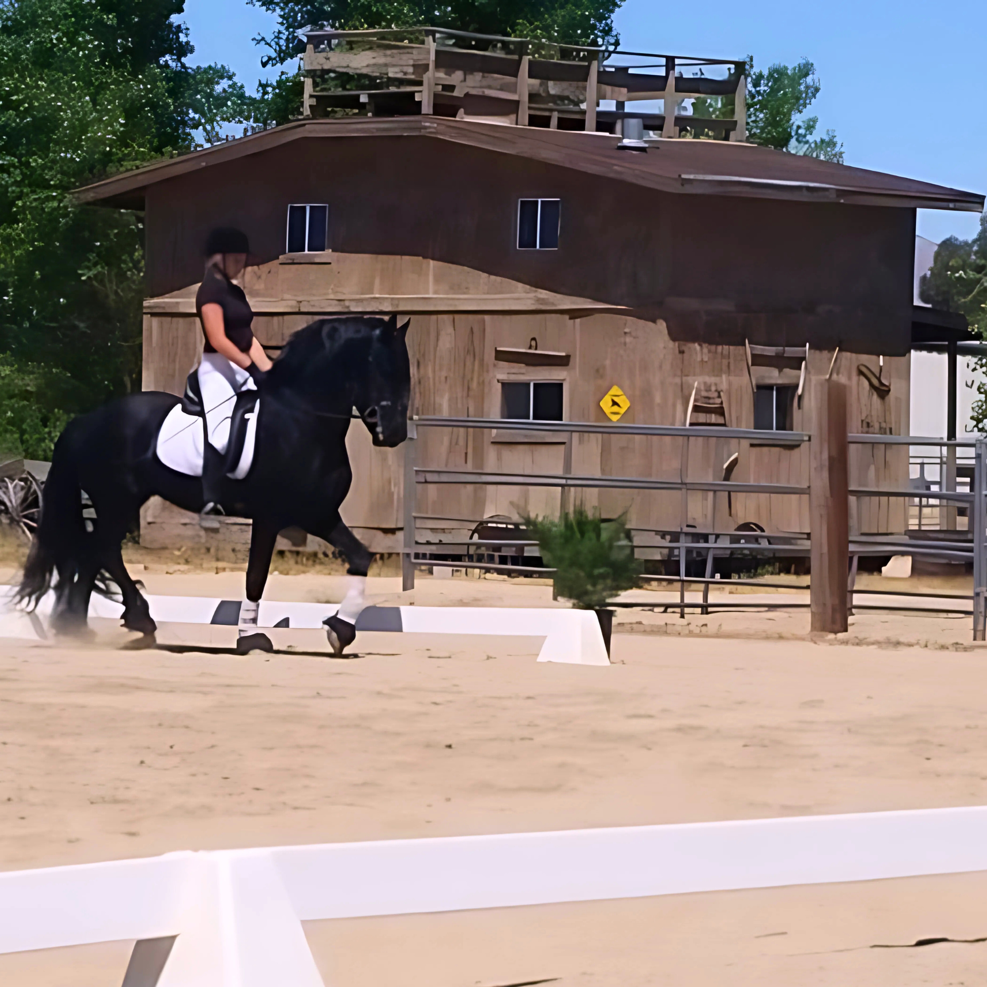 equestrian-center-victorville-ca.jpg