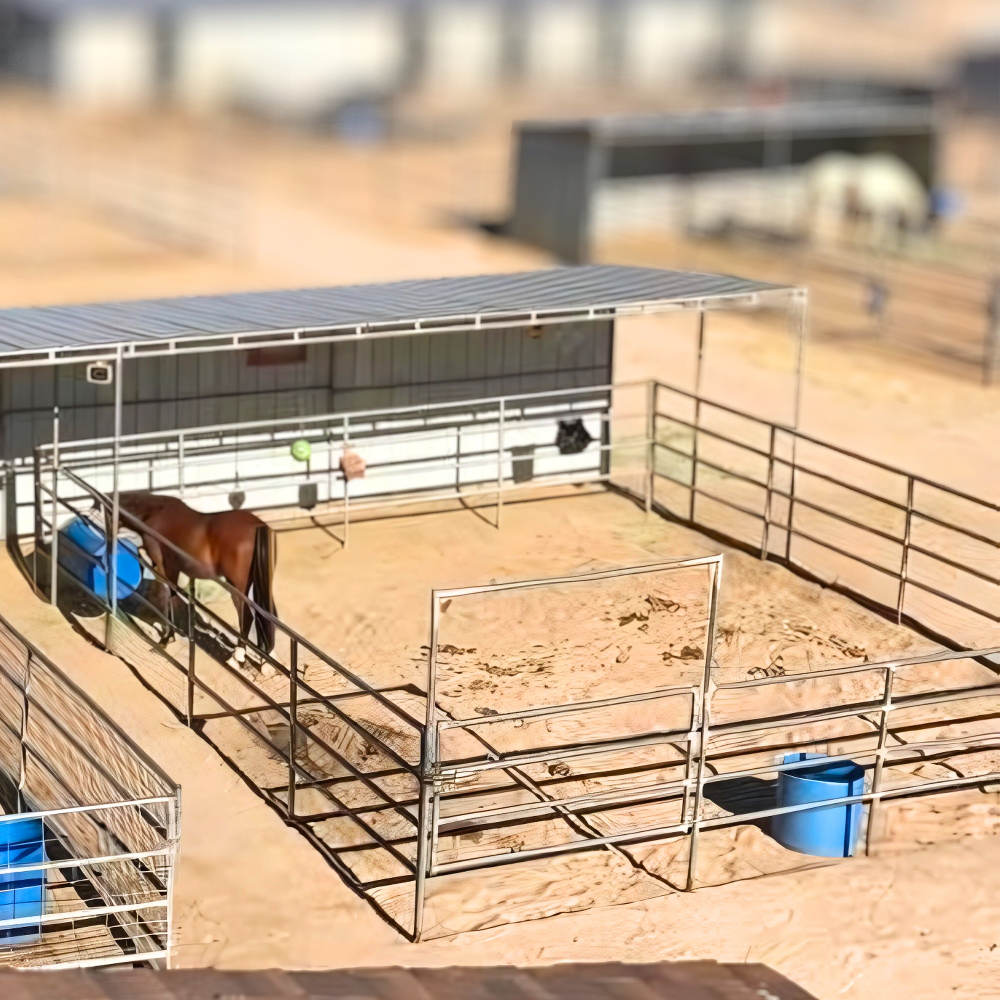 equestrian-facility-apple-valley.jpg