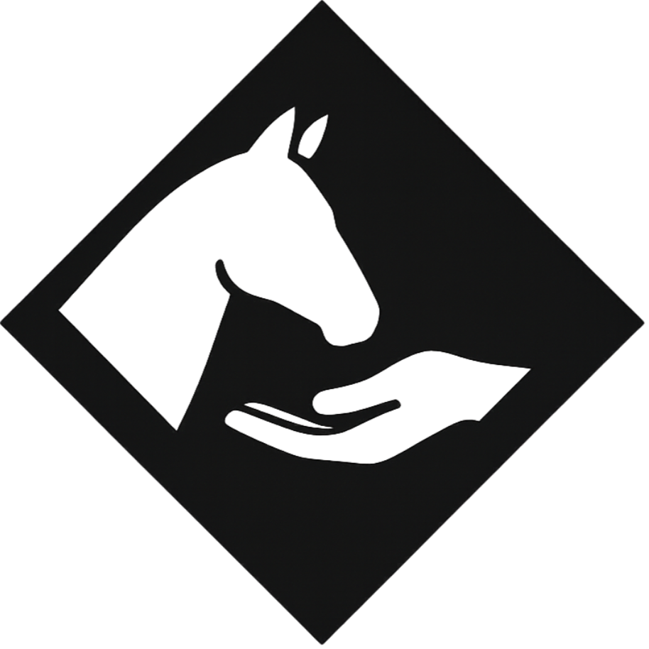 equestrian-lessons-high-desert.jpg