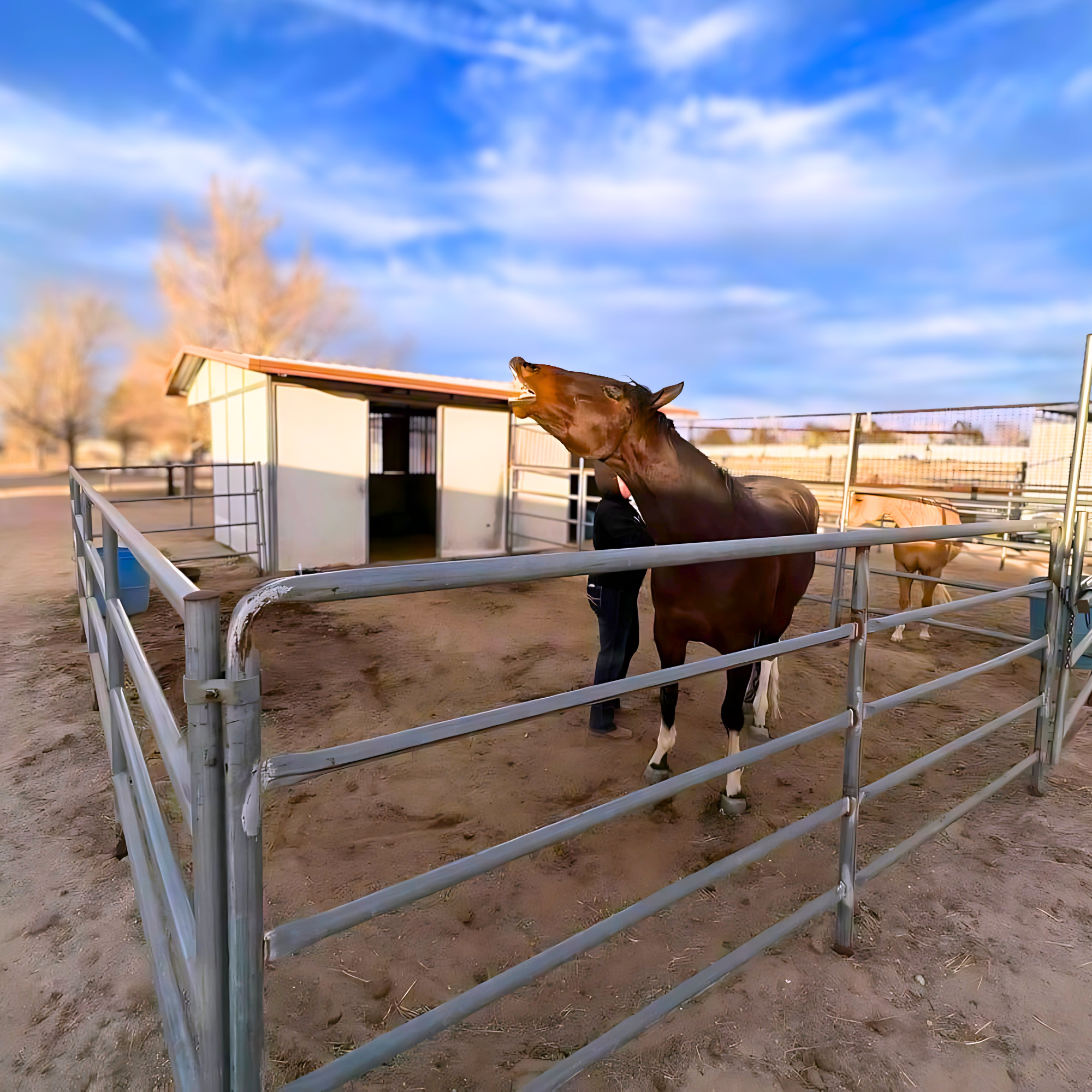 horse-boarding-paddocks-high-desert.jpg