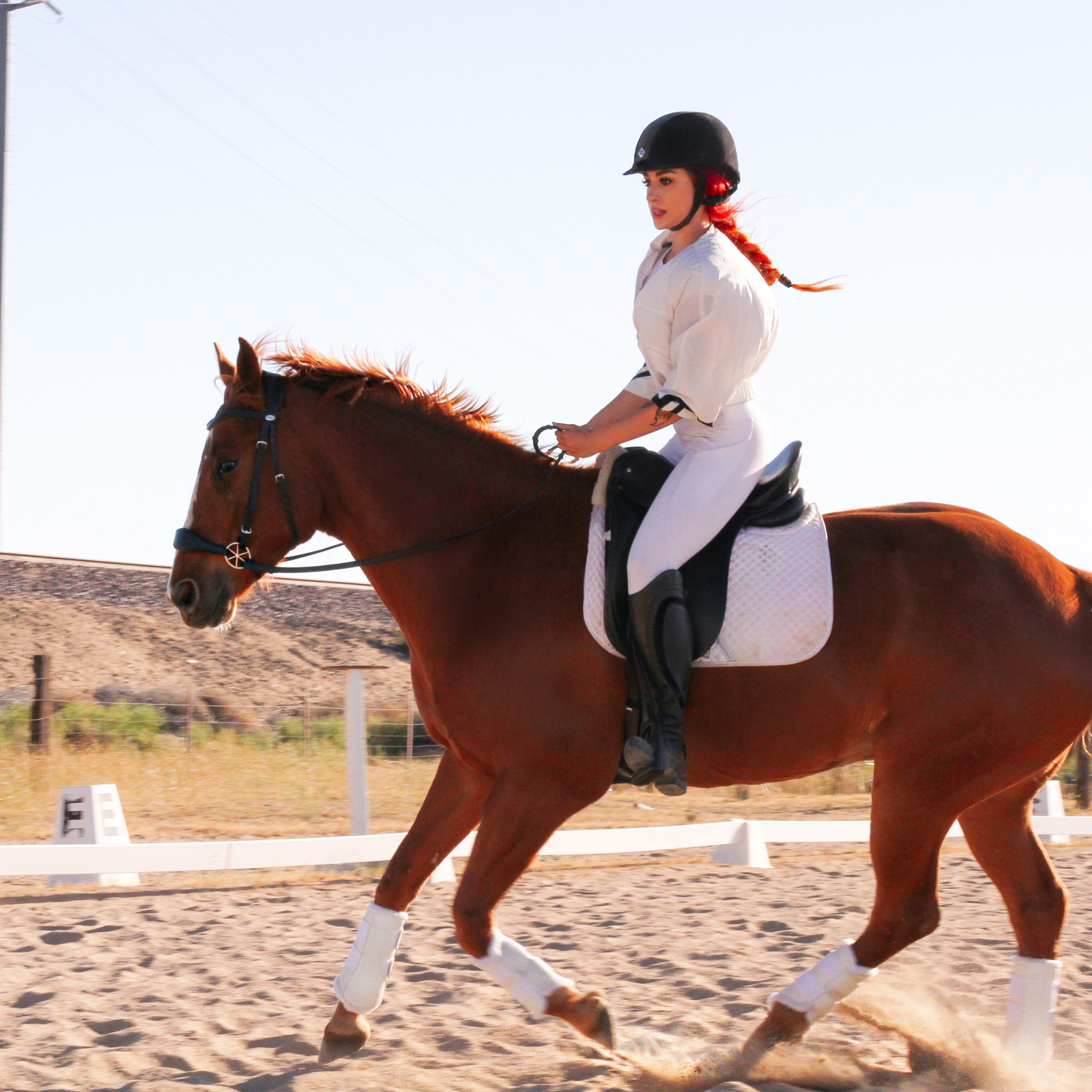 victorville-horse-boarding-stalls.jpg