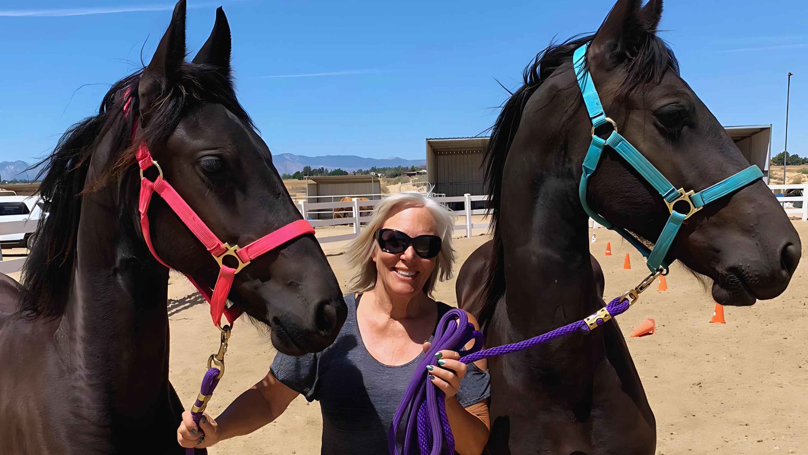 horse-care-services-apple-valley.jpg