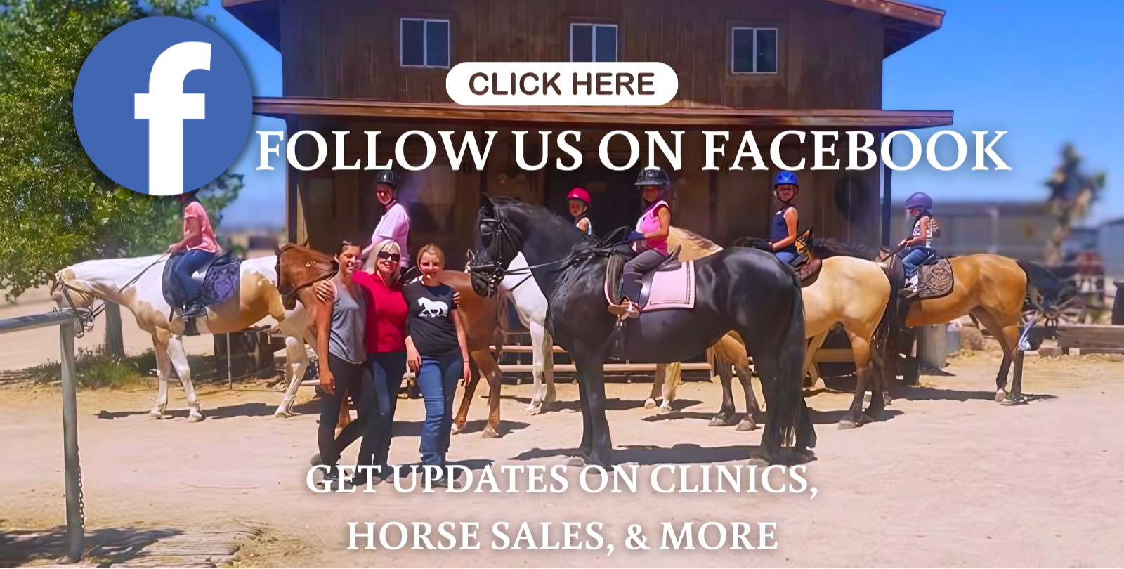 horse-training-apple-valley.jpg